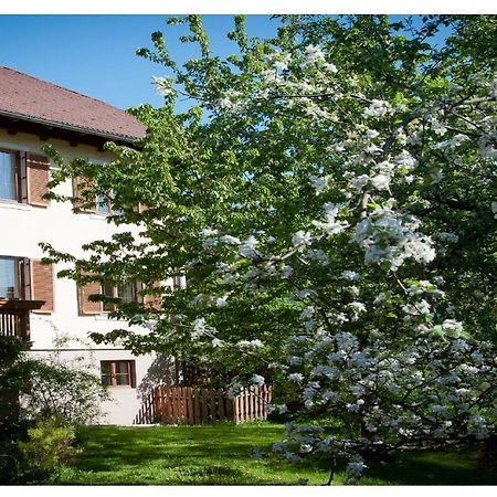 Apartments Himmelreich Ternitz Dış mekan fotoğraf